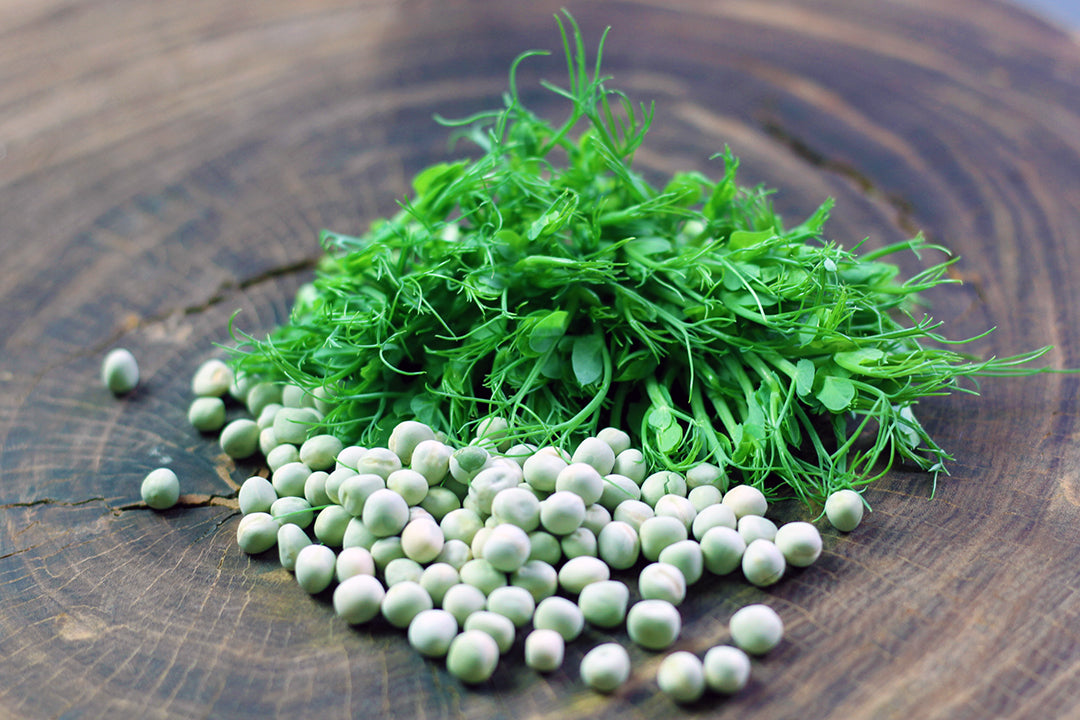 Erbsen 100g