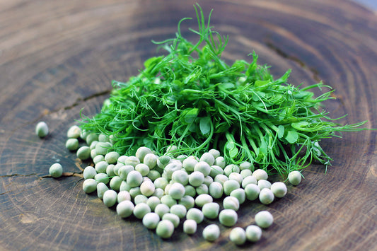 Erbsen 100g